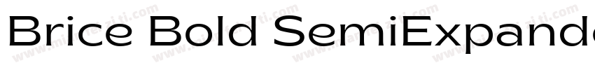 Brice Bold SemiExpanded字体转换
